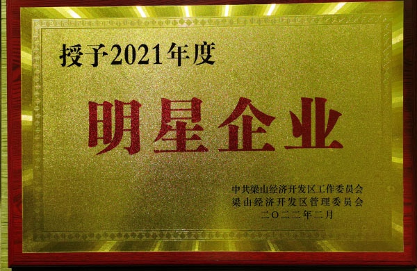 2021年度明星企业